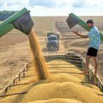 Procon de Rondonópolis modifica tramitação com expectativa de encerrar processos dentro do mês