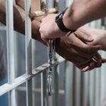 Biodiesel feito com soja em MT reduz até 90% das emissões e já abastece caminhões