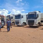 Primavera do Leste avança na causa animal com cadastro online para castração gratuita