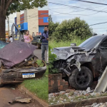 Por ciúmes, homem invade casa e mata gato a pauladas em ataque brutal em Rondonópolis