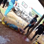 STJ nega soltura de estudante investigada por fraudes bancárias