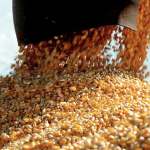 Tornozelado é pego com moto roubada durante patrulhamento em Rondonópolis