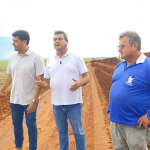 Bombeiros alertam para aumento de acidentes com escorpiões em MT