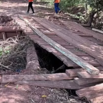 Batida violenta entre carretas termina com morte em rodovia de MT