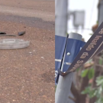 Mulher é encontrada morta em casa e suspeito é procurado pela polícia em Sinop