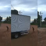 Veja os detalhes da condenação de líder religioso por abusos em MT.