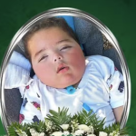 Mato Grosso proíbe apoio fiscal a empresas envolvidas com trabalho escravo