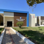 Cabos clandestinos viram alvo de operação que já removeu quase 12 mil toneladas em MT