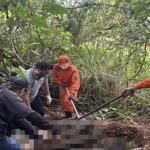 Com Balbinotti na chapa, Medeiros ganha musculatura e entra de vez no jogo pelo Senado em Mato Grosso
