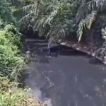 Decisão do TCE reabre caminho para obras habitacionais em Mato Grosso