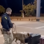 Condutora é flagrada pela PM com motocicleta produto de furto em Rondonópolis