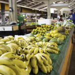 Secretaria informa que Rondonópolis não tem casos confirmados de meningite no momento
