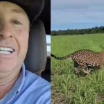 Deputado de MT tem carro destruído após colisão com antas em rodovia