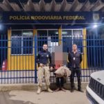 Denarc prende quase 100 por tráfico e bloqueia R$ 29 milhões do crime em Mato Grosso