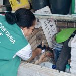 Rondonópolis ganha documentário que conecta arte, memória e crescimento econômico