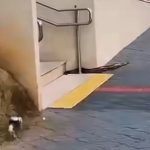 MUNICÍPIOS MELHORAM DESEMPENHO NA EDUCAÇÃO E AMPLIAM RECURSOS