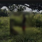 Projeto que reduz impostos em Mato Grosso começa a tramitar e votação fica para a próxima semana na Assembleia