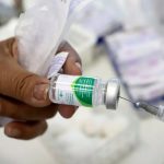 Jiboia de quase dois metros é flagrada em campo de girassóis em Rondonópolis