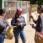 Pesquisa desenvolve abacaxi mais resistente e produtivo para o campo em Mato Grosso