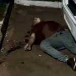 Ação solidária em prol do Hospital de Câncer de MT acontece neste sábado em Cuiabá