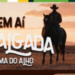 Adjuvantes ganham papel estratégico diante de safra pressionada pelo clima