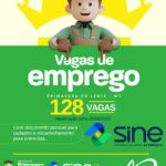 Câmara de Primavera avança em reforma estrutural após mais de 15 anos sem modernização completa