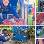 Homem é preso suspeito de estrupar cunhada de 14 anos em Rondonópolis    