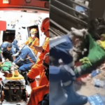 26º Encontro Técnico de Soja da Fundação MT segue hoje com a análise da safra em diferentes regiões do estado