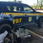 Mulher é presa e adolescente apreendido por tráfico de drogas em Tapurah