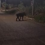Pressão no agro força debate do Fethab na Assembleia e expõe racha sobre rumos do setor em Mato Grosso