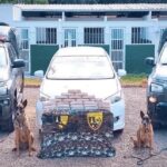 Mulher é presa após espancar a própria mãe