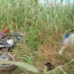Vigilância Ambiental realiza capacitação técnica sobre boas práticas em Primavera do Leste