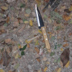 Polícia Civil prende irmãos suspeitos de tentativa de feminicídio durante operação Mato Grosso