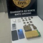 PRF apreende drogas e revólver escondidos em ônibus interestadual em MT