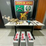 ​5ª edição da Feira Brasileira de Sementes ​vai reunir principais representantes do s​etor