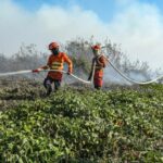 Bombeiros combatem incêndio em carreta na BR-364 em Alta Garças