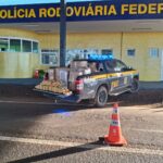 Secretaria de Promoção e Assistência Social atua como parceira em Curso de Costura e Modelagem
