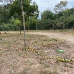 CCJ da Câmara aprova PEC que reduz maioridade penal de 18 para 16 anos