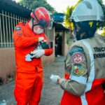 Polícia Civil deflagra operação para reprimir grupo que desviava grãos por meio de furtos qualificados