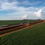 Em menos de 24 horas, PRF apreende 439 kg de drogas na BR-364 em Mato Grosso