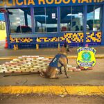 Primavera do Leste inaugura sede da Secretaria de Segurança Pública e Mobilidade e reforça integração das forças de segurança