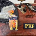 Carro com registro de roubo é recuperado pela PM em Rondonópolis; motorista é preso por receptação