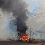 Zé Medeiros apresenta Lei da Blindagem Rural e alerta: crime no campo encarece os alimentos