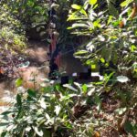 Primavera do Leste inaugura sede da Secretaria de Segurança Pública e Mobilidade e reforça integração das forças de segurança
