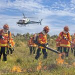 Fávaro destaca parceria com prefeitos durante entrega histórica de 383 veículos para a saúde de Mato Grosso