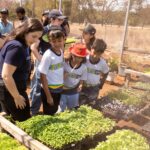 SINE de Primavera do Leste alerta para instabilidade no sistema durante atualização nacional