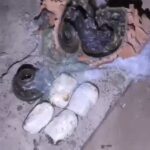 Câmara reconhece trajetórias e contribuições para Rondonópolis durante Sessão Solene