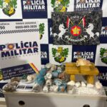 Fiscalização de terrenos baldios resulta em mais de 1,5 mil notificações em Primavera do Leste