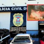 Dupla é presa após furto em distribuidora e venda de celular em shopping popular
