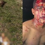 Polícias apreendem espingarda e munições com homem alvo de medida protetiva